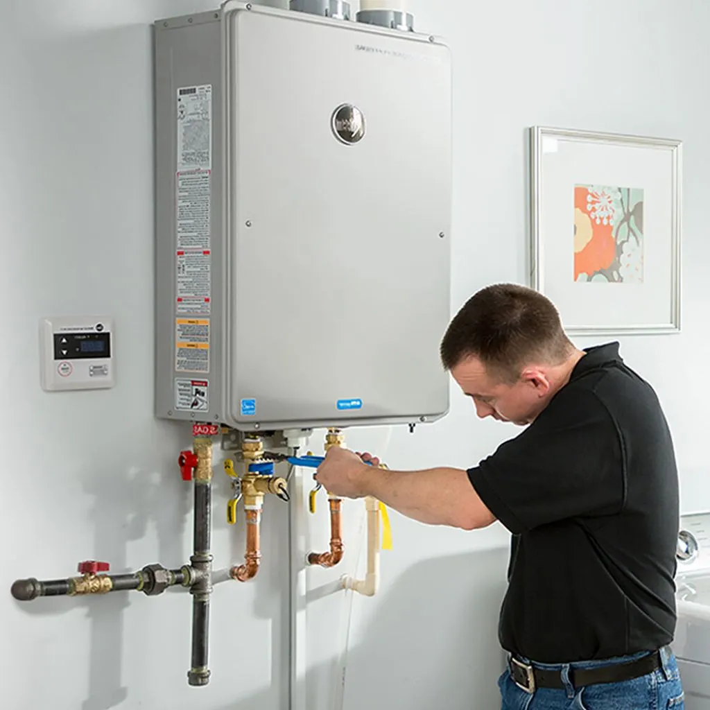 tankless water heater repair in Fordyce, NE